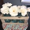 Renae Barnes - @barnesgotwood - Poshmark